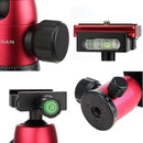 Details of BH01 Moman tabletop tripod with 360 degree camera ball head