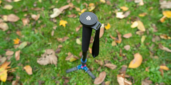 Monopod vs tripod: Which one to choose?