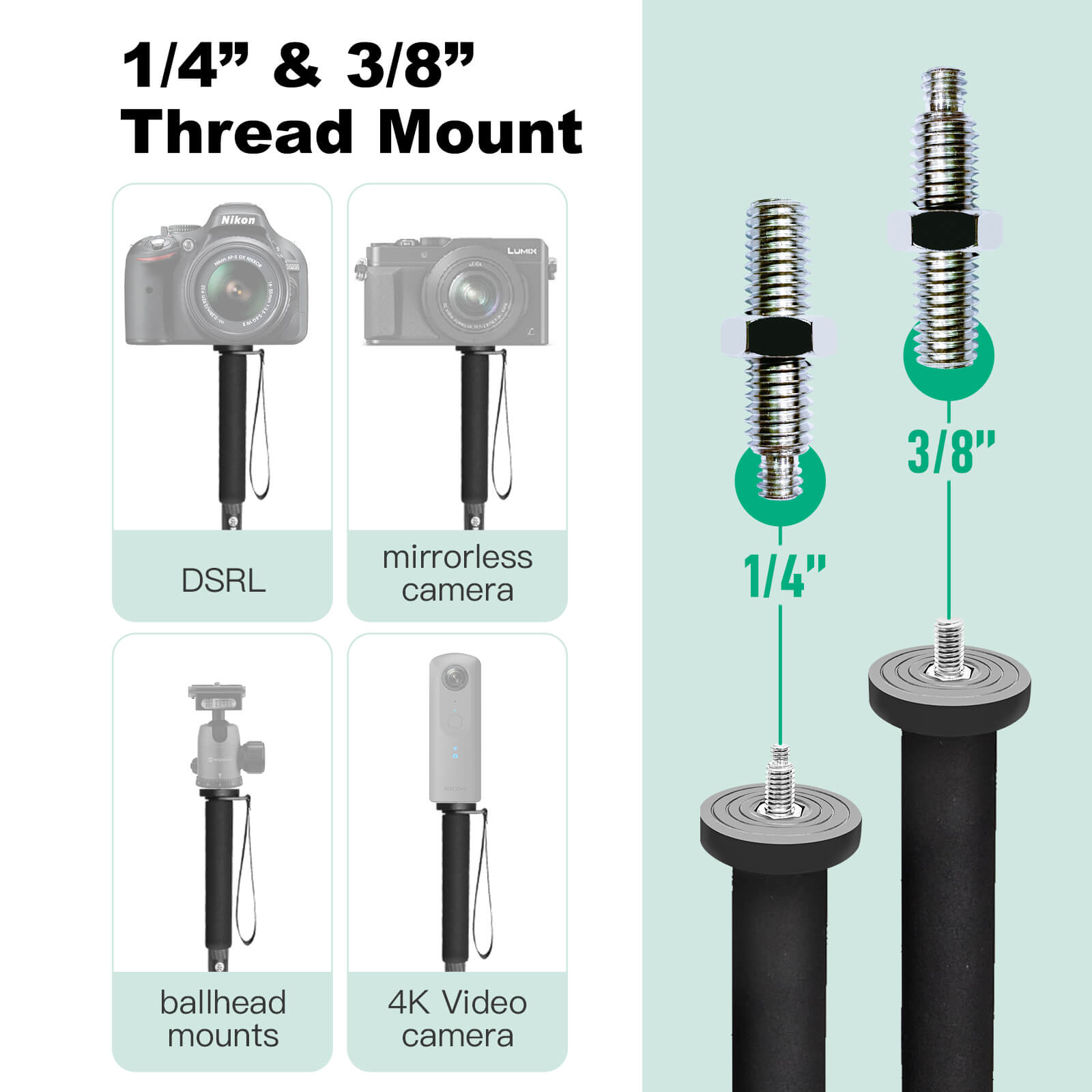 Moman C65L long monopod has 1/4
